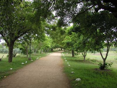 Path to Meherabad Hill